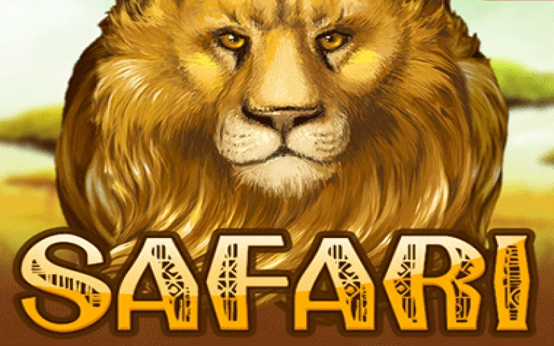 The Safari game is provided by 1win.